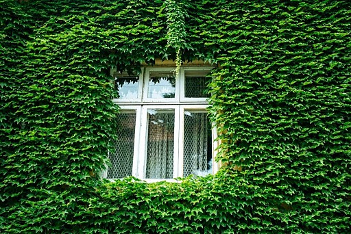 Greener houses: grants to improve the energetic efficiency.