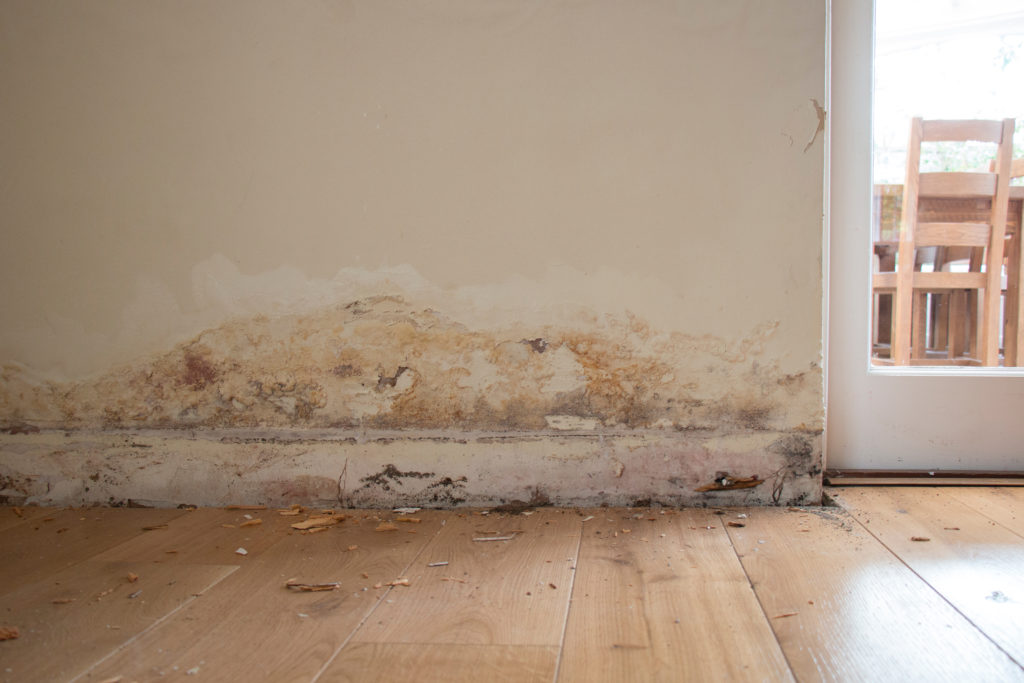 Problèmes de moisissures Moisissures dans la maison